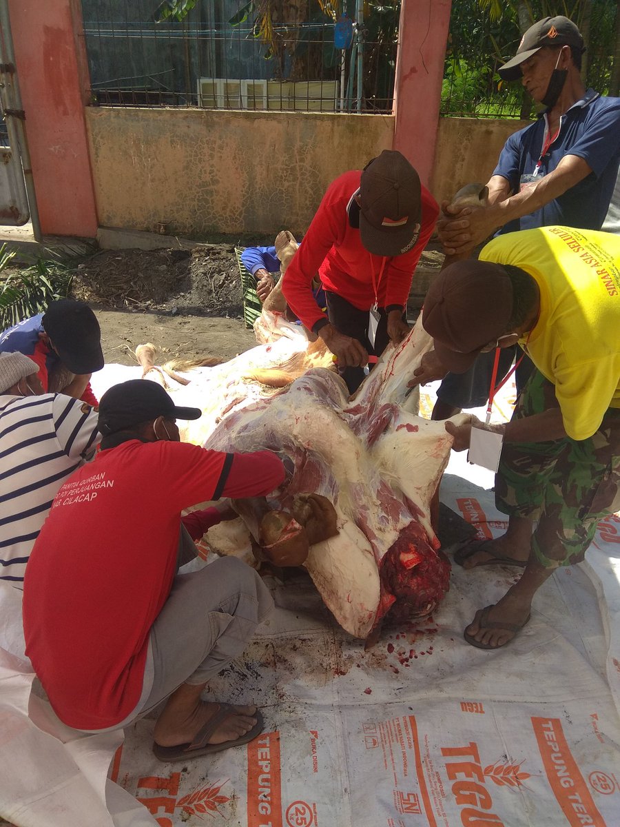 PDIPBinangun's tweet photo. Penyerahan Hewan kurban oleh Ketua DPC PDI Perjuangan Bpk Taufik Nurhidayat 2 ekor sapi dan 3 ekor kambing kepada panitia kurban Di kantor DPC PDI Perjuangan Cilacap. 
Mari kita Tebarkan Kurban Saling Berbagi di Tengah Pandemi dengan Memperkuat Gotong Royong.
Jum'at, 31 Juli 2020 https://t.co/VGBodChP2U