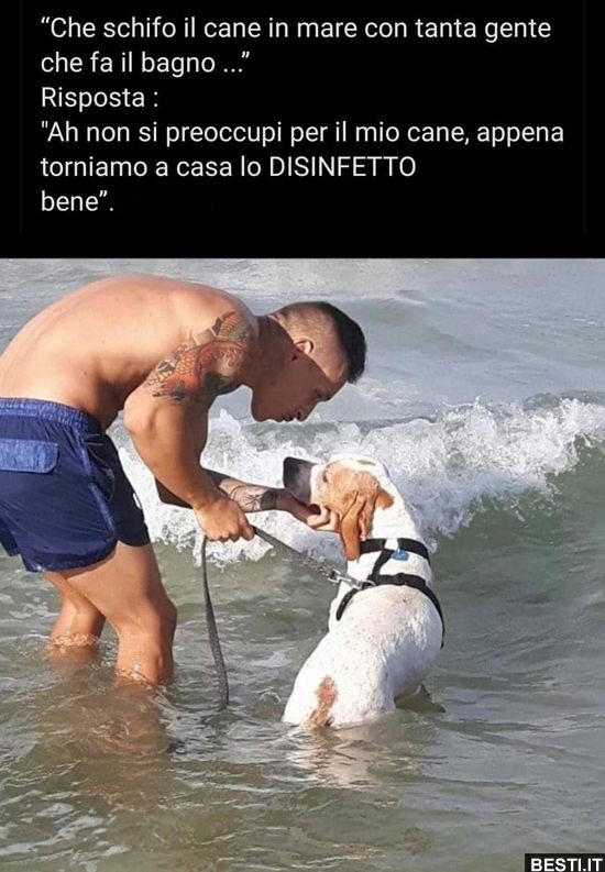 B16Antonella's tweet photo. ✌️✌️✌️✌️✌️👏👏👏👏👏😂😂😂😂😂😂😂♥️🐾🐾🐾🐾🐾🐾♥️ https://t.co/gvjGwEKMld