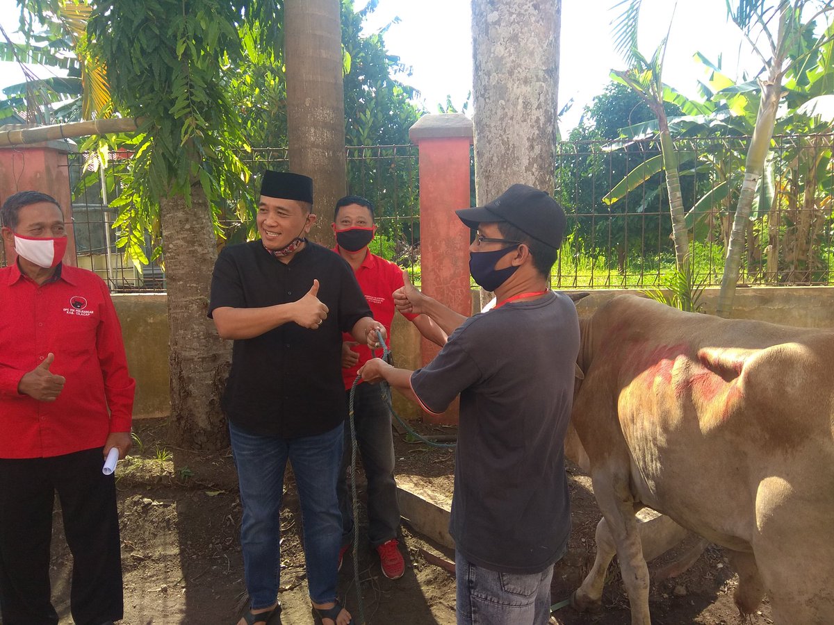 PDIPBinangun's tweet photo. Penyerahan Hewan kurban oleh Ketua DPC PDI Perjuangan Bpk Taufik Nurhidayat 2 ekor sapi dan 3 ekor kambing kepada panitia kurban Di kantor DPC PDI Perjuangan Cilacap. 
Mari kita Tebarkan Kurban Saling Berbagi di Tengah Pandemi dengan Memperkuat Gotong Royong.
Jum'at, 31 Juli 2020 https://t.co/VGBodChP2U