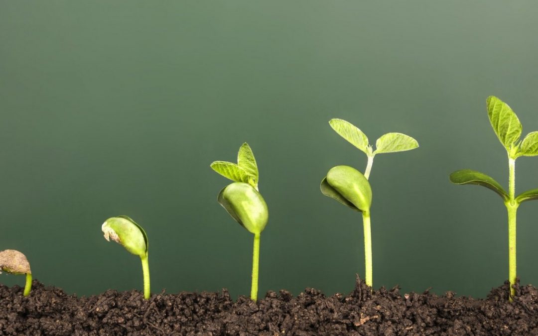Galorbi's tweet photo. The #strength and #diversification of our #business model are #leading us to #success ...
A series of #strategic #initiatives to improve #effectiveness and generate #efficiency has been put in place for #Galorbi. This will accelerate #growth .

Gilberto de Matos
CEO of Galorbi https://t.co/9zcDB07hXD
