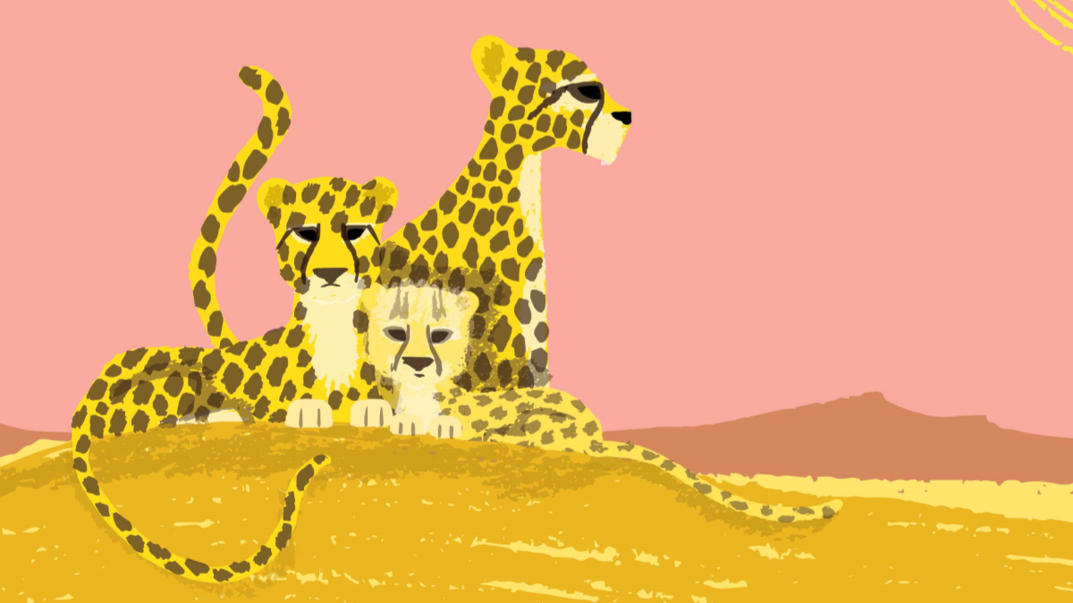 FarshoreBooks's tweet photo. Did you know every so often, two male cheetahs will adopt a lost cub and raise them as their own! Just like us, animal families are all different. Discover #AllKindsOfFamilies in the new book from Sophy Henn, out August the 20th

Illustrations copyright © Sophy Henn 2020 https://t.co/gJyrlz9AnJ