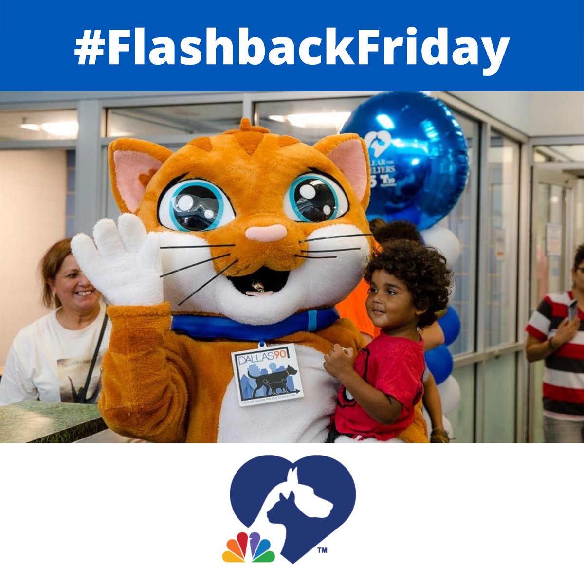 DallasShelter's tweet photo. #FlashbackFriday to 2019 @ClearTheShelter!
Things will look a little different this year due to COVID-19 but that doesn't mean we can't #ClearTheShelters AND #SaveLivesWhileSocialDistancing!
DAS pets are FREE to adopt online all through August https://t.co/xPYXQyClUq @nbcdfw https://t.co/xxz1OTYG3O