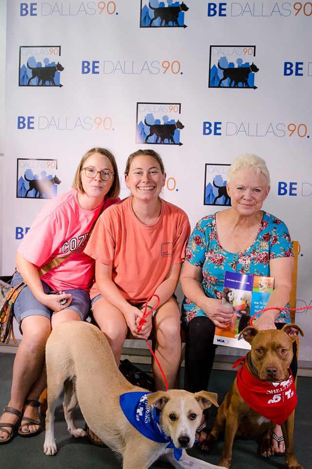 DallasShelter's tweet photo. #FlashbackFriday to 2019 @ClearTheShelter!
Things will look a little different this year due to COVID-19 but that doesn't mean we can't #ClearTheShelters AND #SaveLivesWhileSocialDistancing!
DAS pets are FREE to adopt online all through August https://t.co/xPYXQyClUq @nbcdfw https://t.co/xxz1OTYG3O