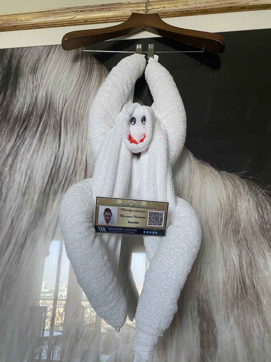 LubnaHamdan0's tweet image. How cute is this at the @WaldorfRAK 😩 #HospitalityDoneRight