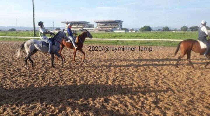 rayminner_lamp's tweet photo. Animales Buscando La Mejor Condicion Fisico Atletica #VIER #31JUL #BRISEOS En Nuestro #TEMPLO
@OficialHinava🏆
📷 @rayminner_lamp
Let's Go✌ https://t.co/d9QpRdPVzd