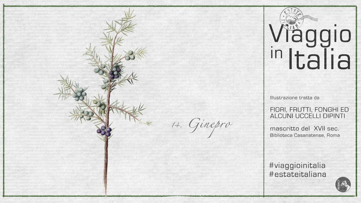 Ministero della Cultura tweet media