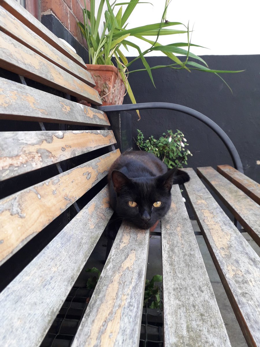 Mon Dickson tweet media