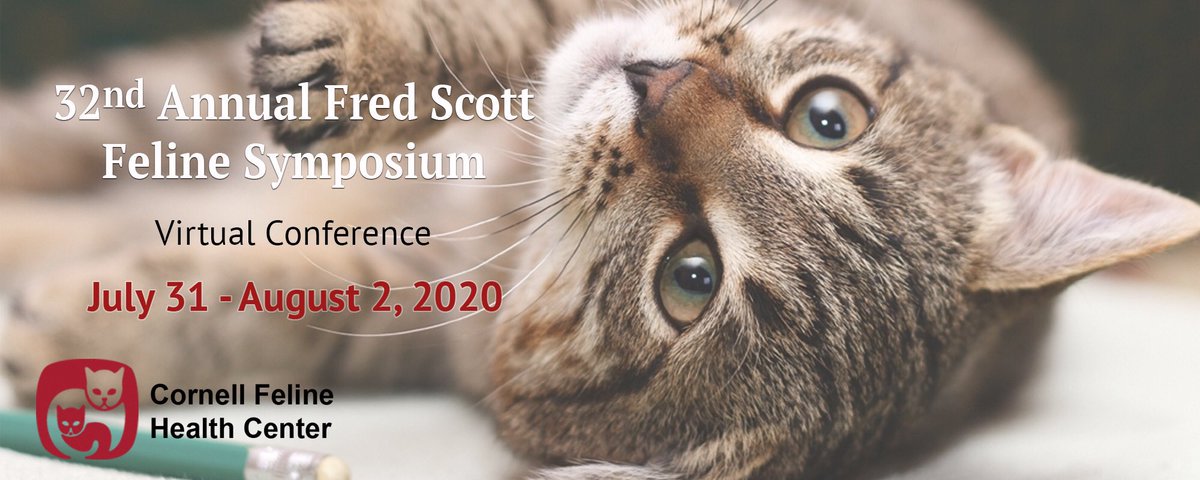 vetforcatsonly's tweet photo. COVID can’t keep our doctors from bringing you the newest information in feline health!  Dr. Stephanie Karpf is excited to be attending the 2020 Annual Feline Health Symposium at Cornell Feline Health Center (virtually, of course!). 
#vetforcatsonly #cats #felinehealth #cathealth https://t.co/ReNcsfVXt5