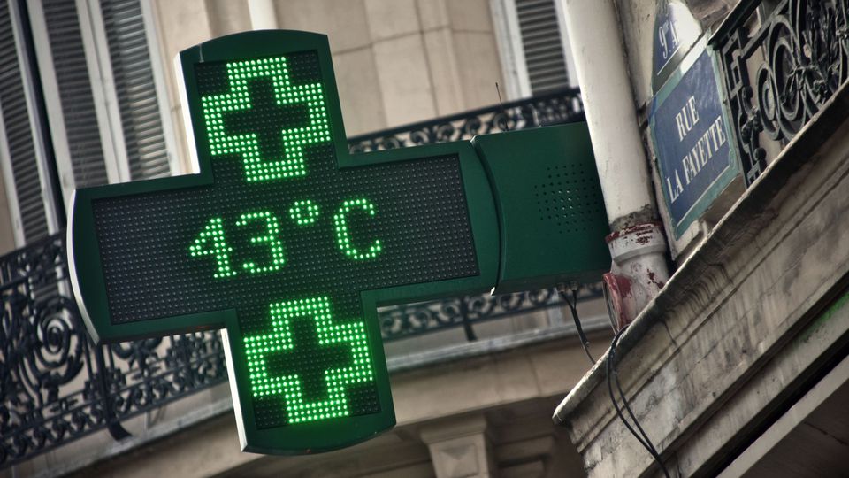 Le Pédonculé tweet media