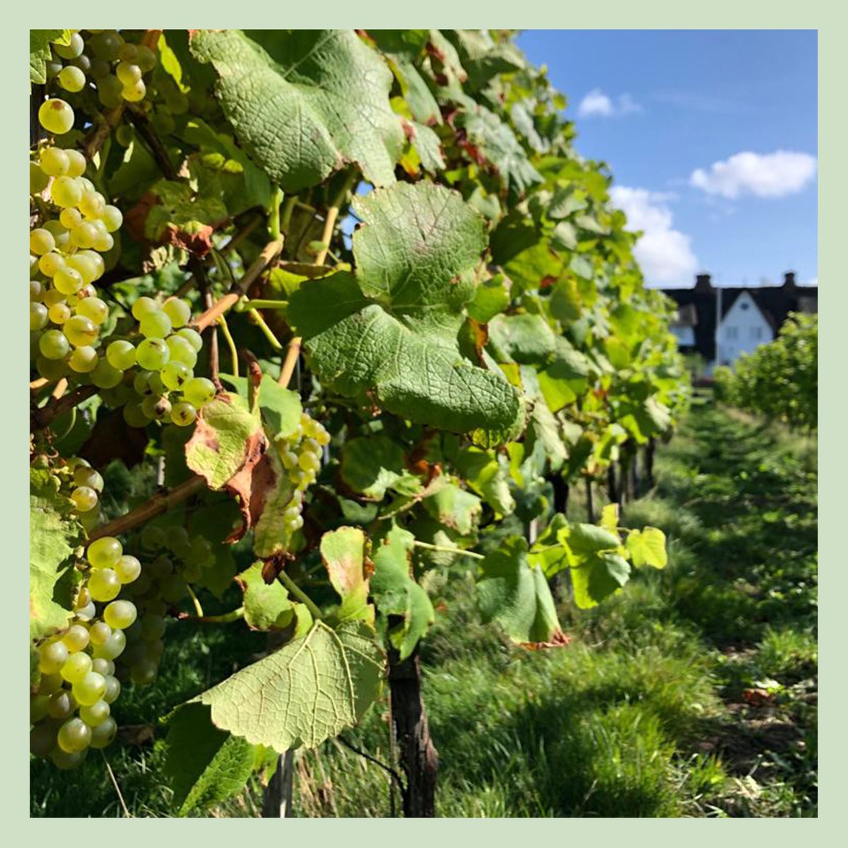 Balthasar Ress - Les Deux Dienstbach chez BR - mailchi.mp/balthasar-ress…