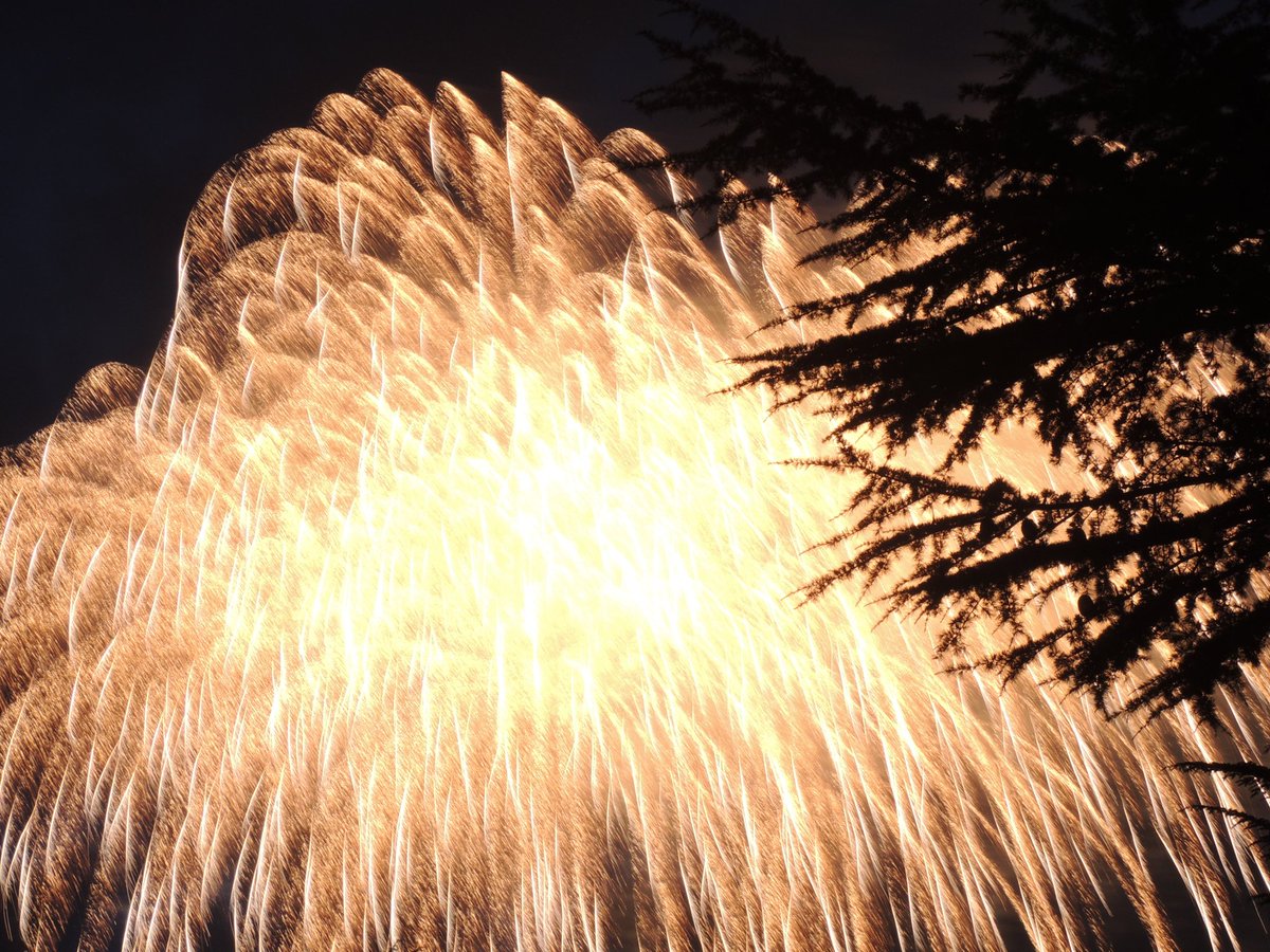 ゲリラ花火 ゲリラ花火