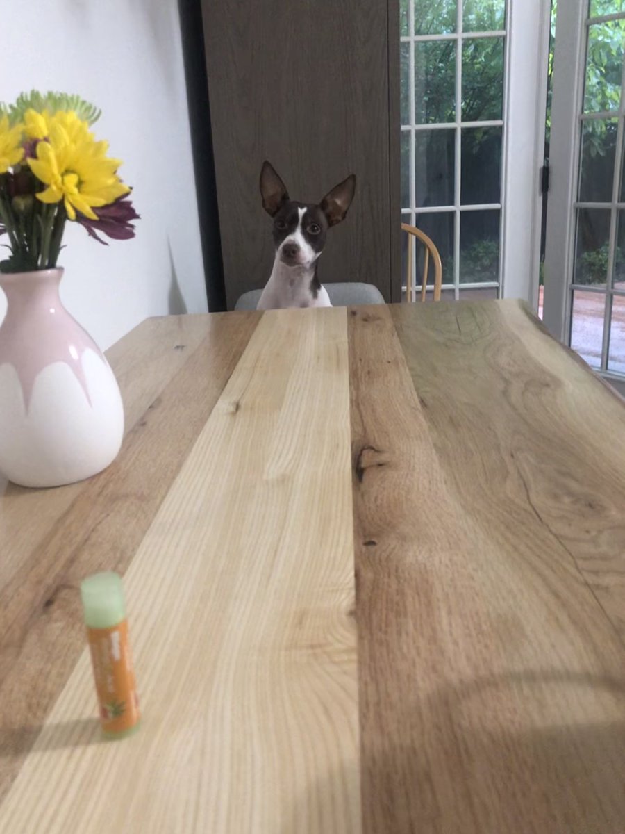 Mrs_Hyven's tweet photo. Apparently we eat breakfast together at the table now. #breakfastbuddies #calimae https://t.co/5kqFb3S2KD