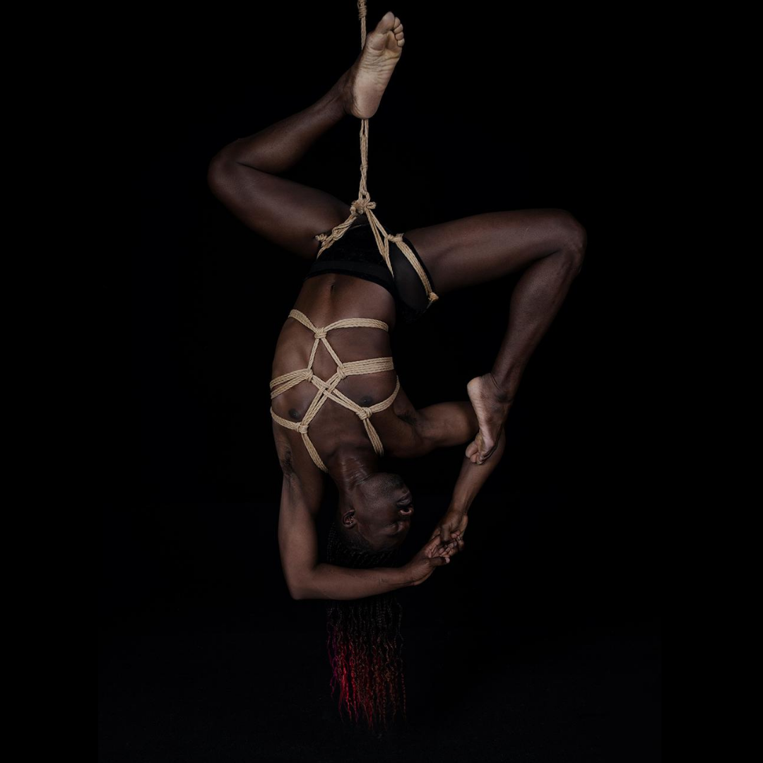 shibari_study's tweet photo. Self-tyers to the front! We’re rounding off the week with another example of how to mix-and-match our harnesses, this time to inspire your self-suspension. Here, we’ve used the “wide front” variation of Gorgone’s Hip-Harness and our infamous Butterfly Harness. #creativeties https://t.co/AO5NsAJaHW