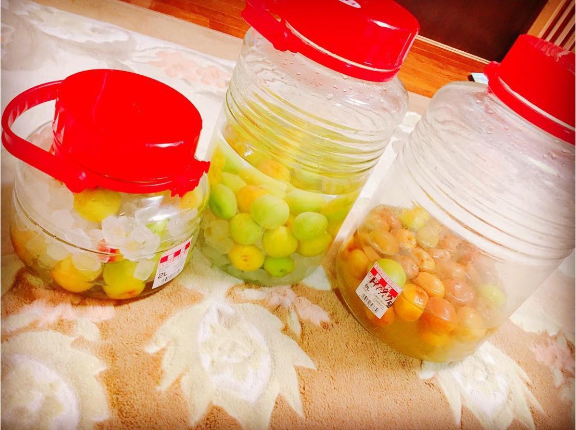 まりぃ 幸子さん ガッキー の梅干しが話題ですがわたし毎年梅干しつけているので幸子さんとの共通点に嬉しくなっております わたしは毎年らっきょ酢につけてはちみつ梅風に 梅ジュース 梅酒 はちみつ梅を作ることが毎年のルーティン 幸子さんは まりぃ 幸子さん ガッキー の梅干しが話題ですがわたし毎年梅干しつけているので幸子さんとの共通点に嬉しくなっております わたしは毎年らっきょ酢につけてはちみつ梅風に 梅ジュース 梅酒 はちみつ梅を作ることが毎年のルーティン 幸子さんは