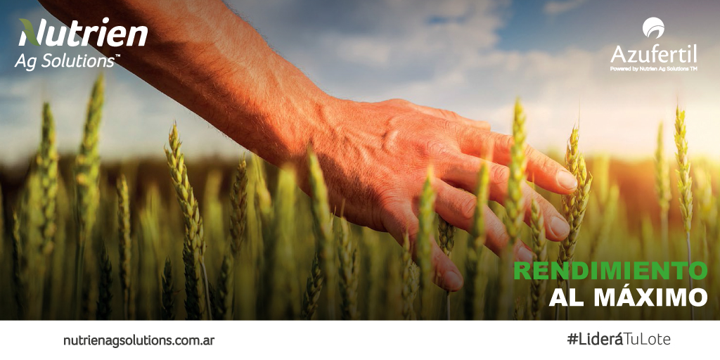 NutrienDigital's tweet photo. #Azufertil mejora la estructura de tu suelos y provee nutrientes esenciales como S y Ca a tus cultivos para lograr mayor rendimiento y aumentar los niveles de proteínas en granos.
Es el producto más versátil por su granulometría ya que podés dosificar según tu necesidad. https://t.co/qfXS6lT9N0