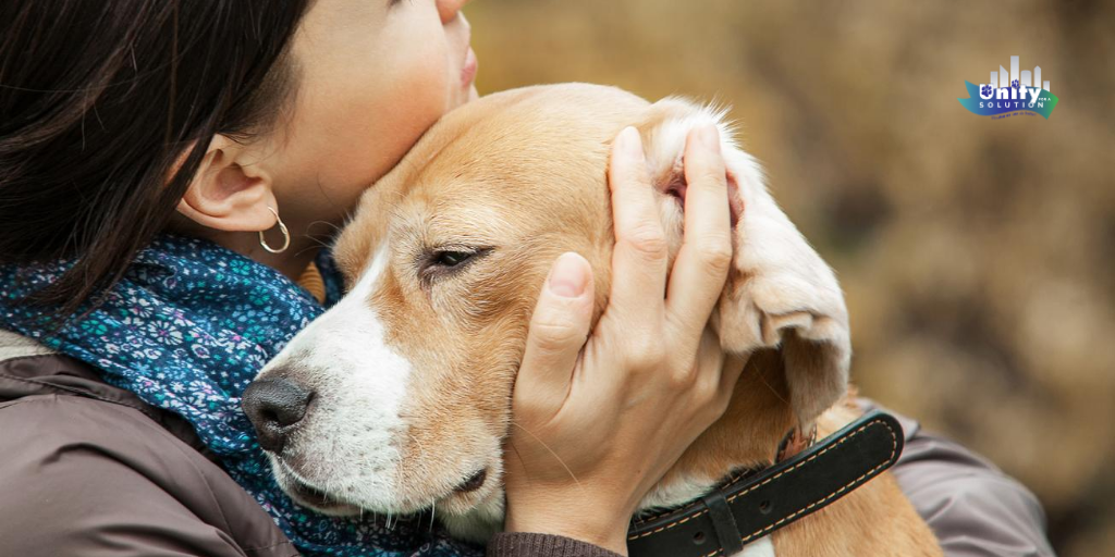 Unity4aSolution's tweet photo. Happy #NationalMuttDay! Thank you for pawing your way into our hearts and for your unconditional love. πΆβ€πΆ
#adoptdontshop #spayandneuter #dogsoftwitter #unity4solutions https://t.co/B1kxtXhX6q
