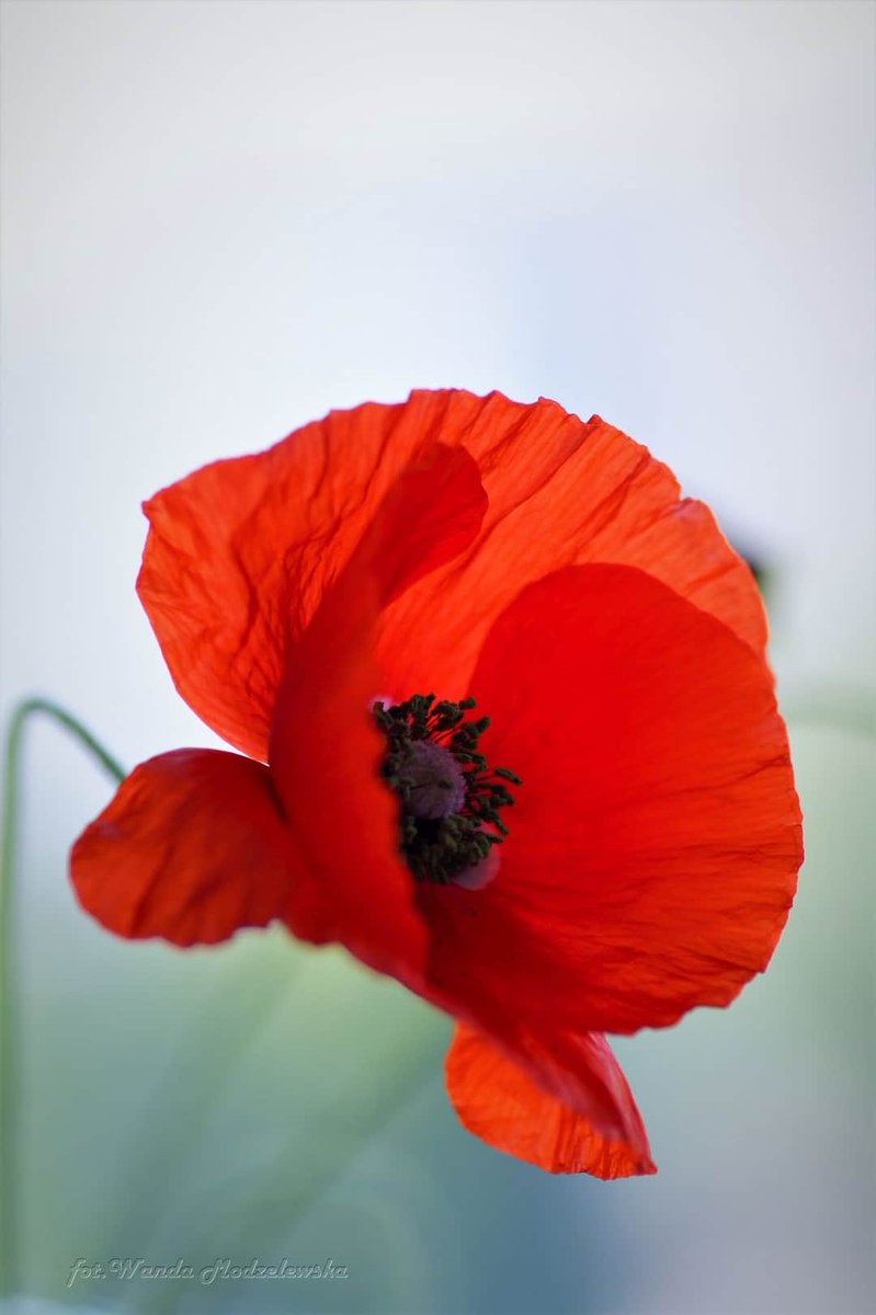 Nice summer day❤️