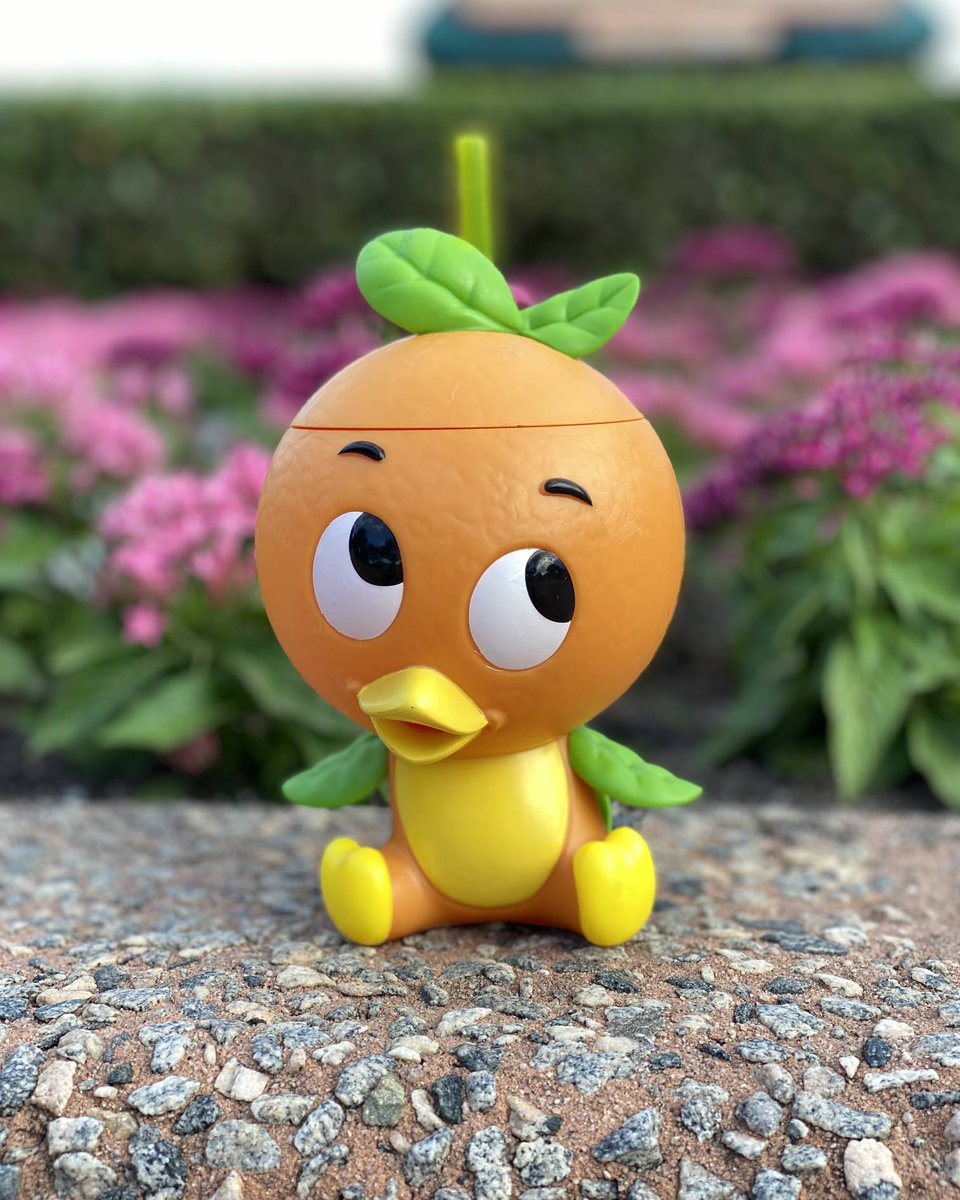 TheMousePlanner's tweet image. 🎶 All the thoughts he ever spoke appear in orange smoke. That's what makes the Orange Bird unique! 🎶

Special thanks to my friend Leah from @OurFLProject for picking up this super-cute sipper cup for me! 

#WaltDisneyWorld #EPCOT #OrangeBird #Disney #DisneyParks