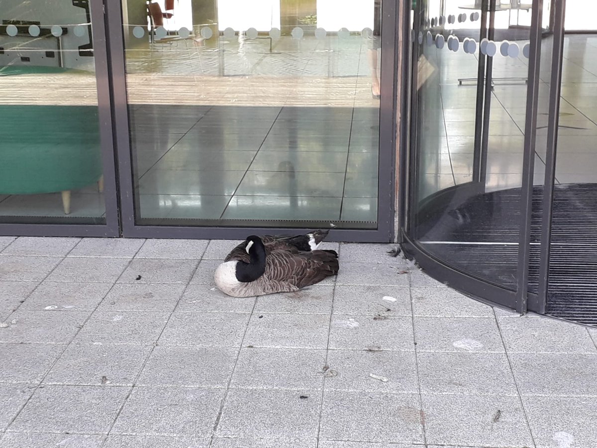 #Basepoint #Luton #SocialDistancing Our considerate visitors are practicing social distancing too.