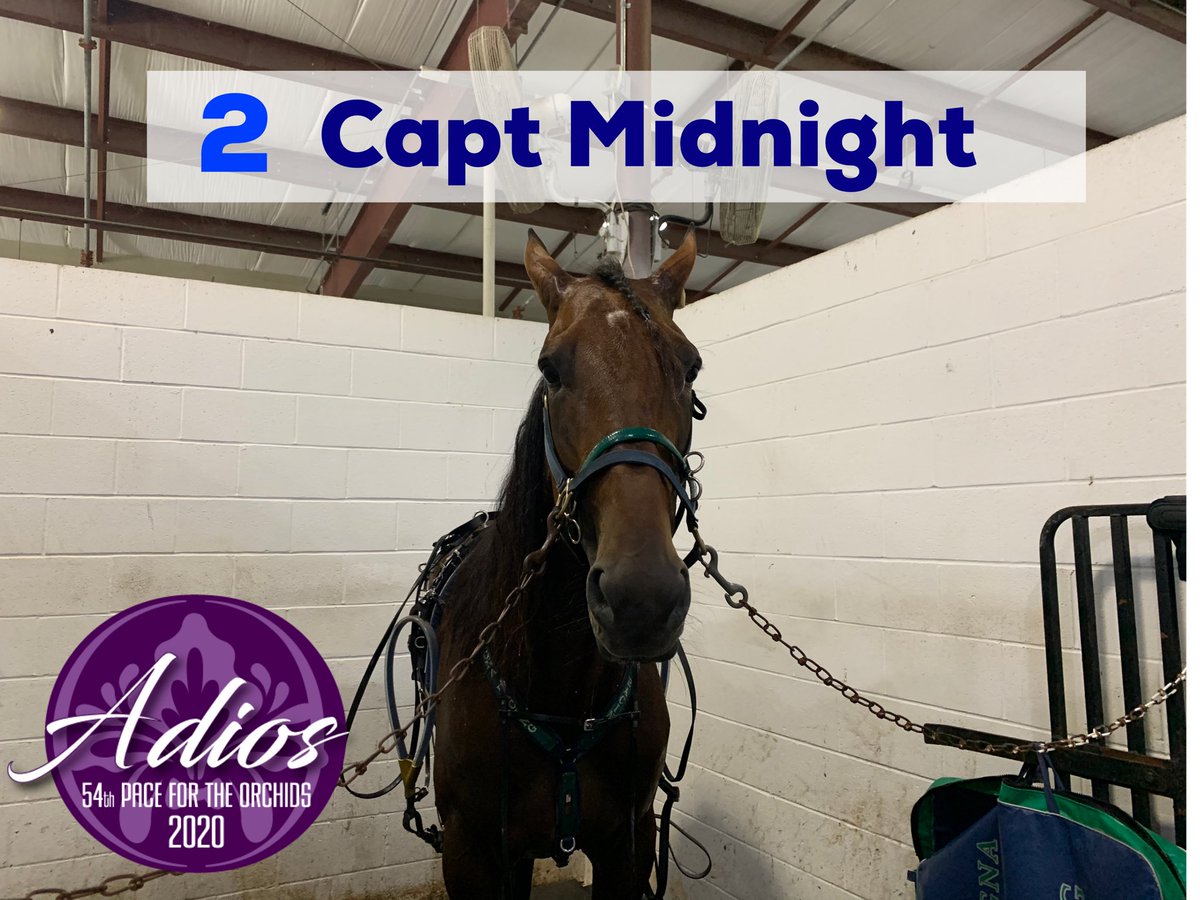 TheMSOA's tweet photo. Capt Midnight 
Trainer - Tony Alagna 
Driver - Andrew Mccarthy 
Owner - M. Katz, E. Jacobs, BJ Grant, Capt Midnight Racing
#Adios20 https://t.co/tcC41gowTZ