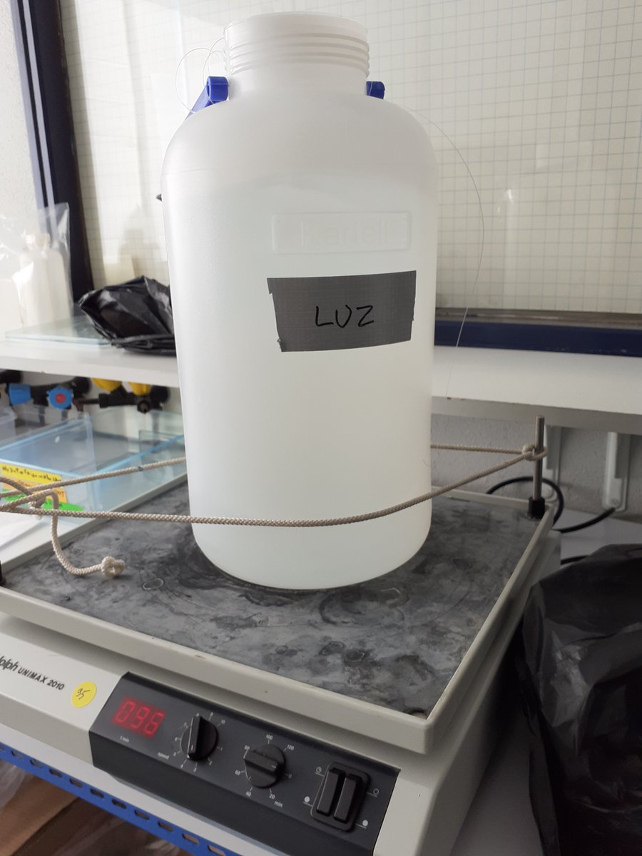 Monitool Project tweet media