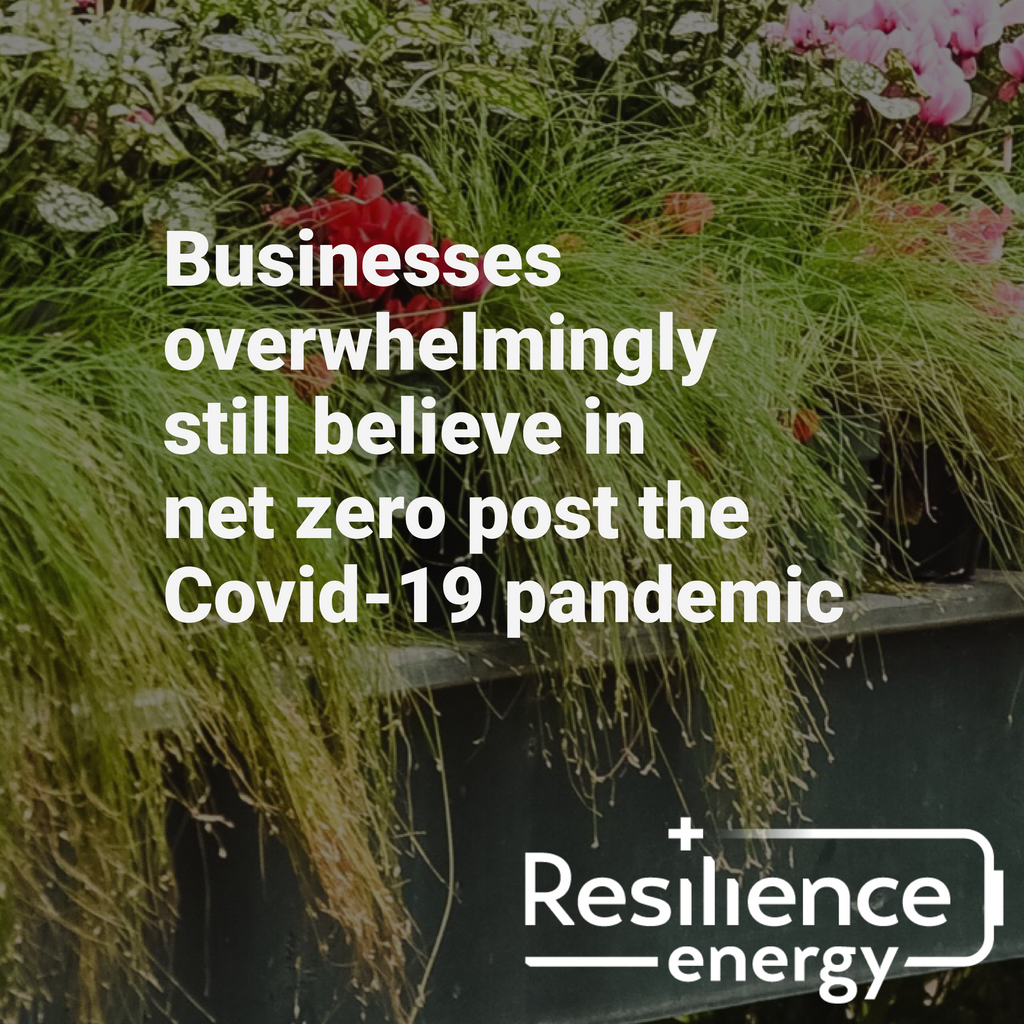 ResEnergy2day's tweet image. 73% of businesses believe the pandemic has not hindered their ambitions to reach net zero.

We think its actually helped. 

Report compiled by @FutureNetZero in dialogue with the UK business community: (soo.nr/vA4P)

#resilienceenergy #futurenetzero #netzero