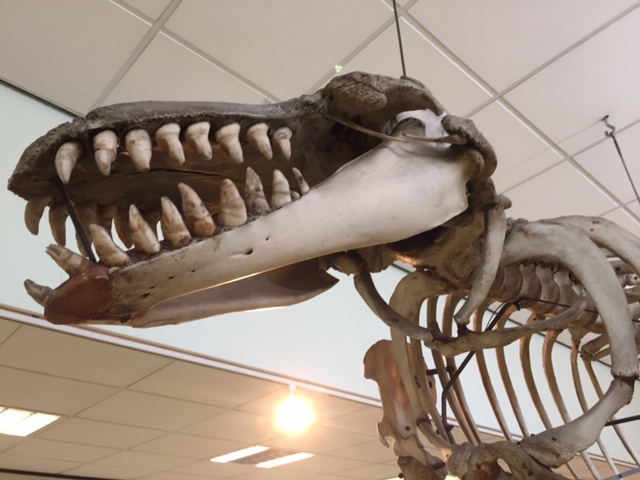 UoR BioSci tweet media