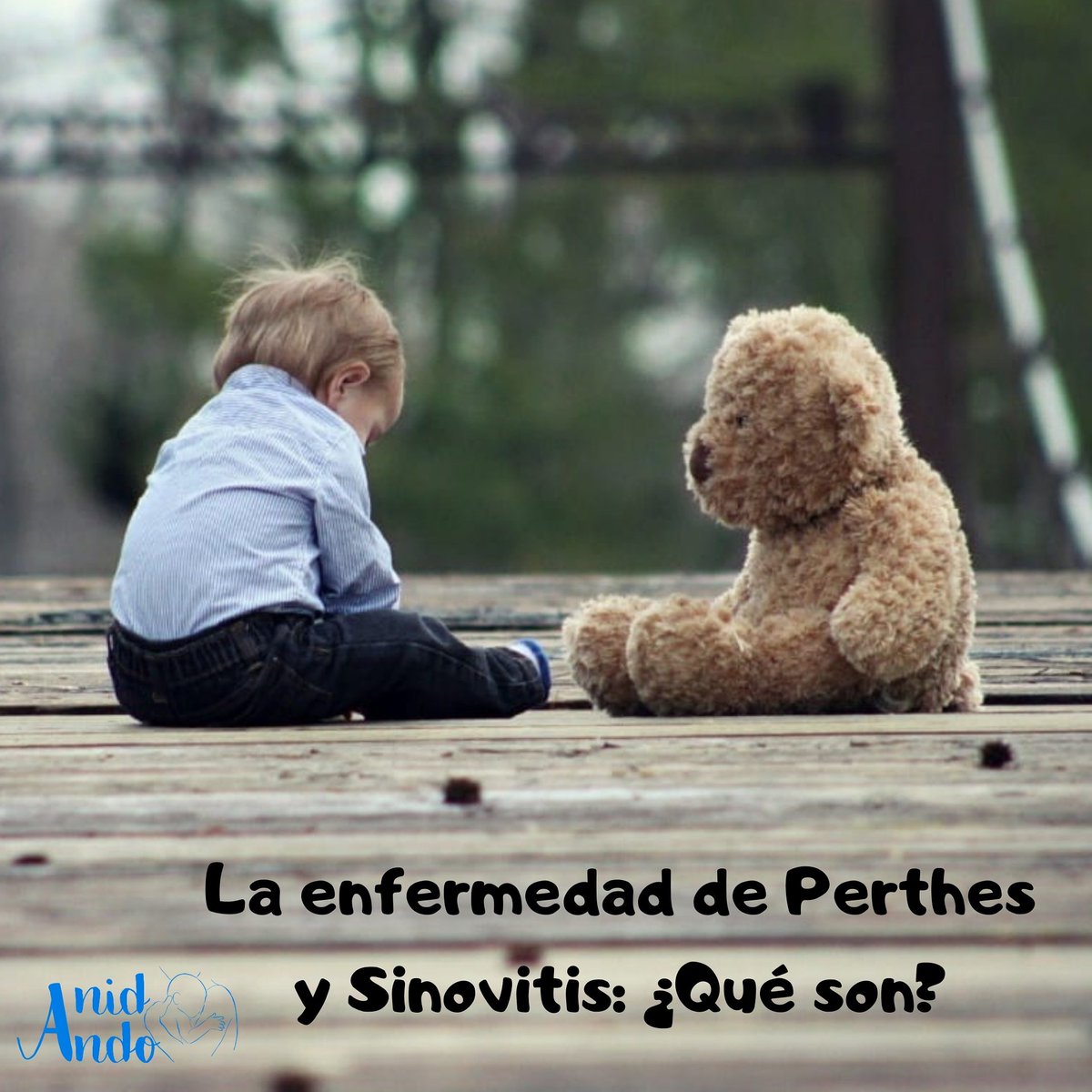 AnidAndocrianza's tweet photo. Enfermedad de Perthes: ¿Qué es? Si quieres saber más, te lo contamos en nuestra entrada de blog de hoy.
https://t.co/cEihzUFMYW
#perthes #sinovitis #enfermedad #fisioterapia #fisioterapeuta #niño #niña #saludinfantil #salud #infantil #maternidad #paternidad https://t.co/X0rHHCCP3i
