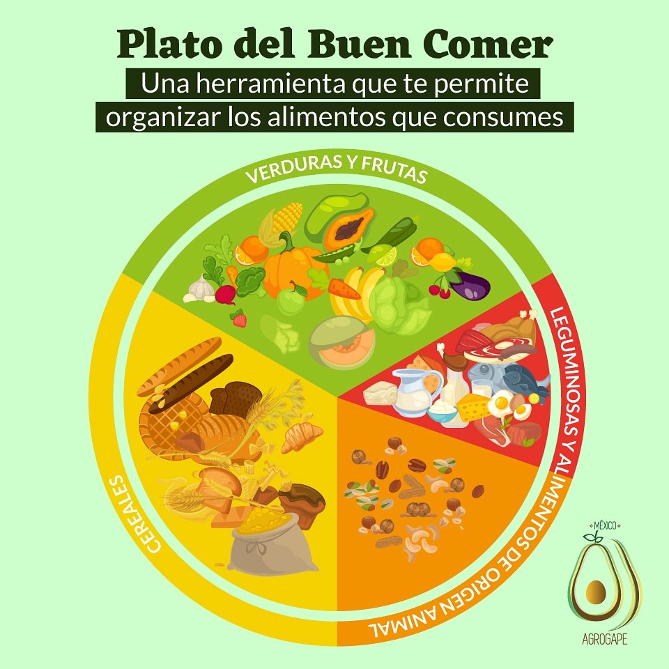 agrogape's tweet photo. Con base en los lineamientos de dicha guía, una alimentación debe ser completa; es decir, que incluya por lo menos un elemento de cada grupo alimenticio en cada desayuno, comida y cena; también debe ser equilibrada. https://t.co/uqddcIu9na