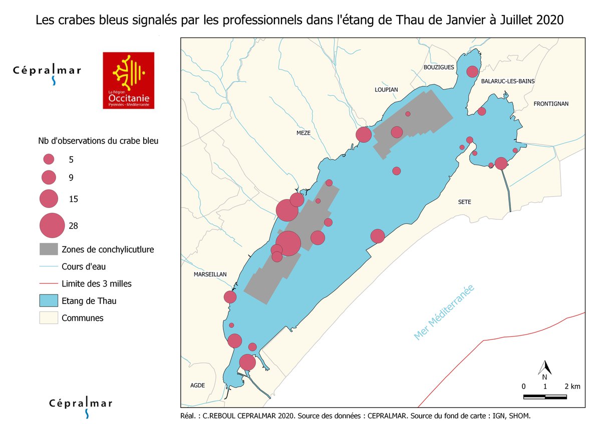 CRABE BLEU 🦀

Le #Cépralmar a initié un suivi de cette espèce avec les professionels. Depuis janvier 266 crabes ont été signalés entre Mèze et Marseillan, un pic a eu lieu en mai, on note désormais une baisse des captures mais sur des zones plus larges.

#crabebleu #menace