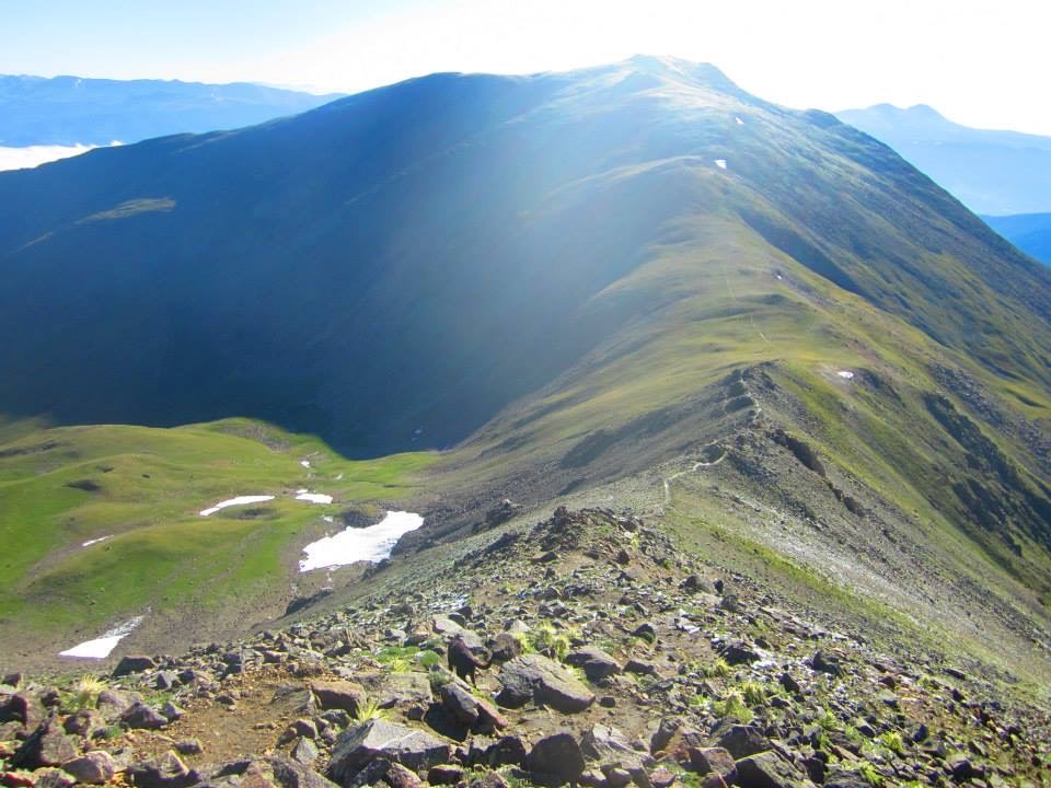 ATRA 🏃‍♂️ 🇺🇲 🏃 tweet media