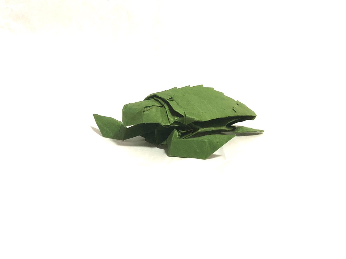Cordialess's tweet photo. Loggerhead Sea Turtle designed by Satoshi Kamiya #origami #origamiart #origamiartist #origamiturtle https://t.co/bnFOC3UsfT