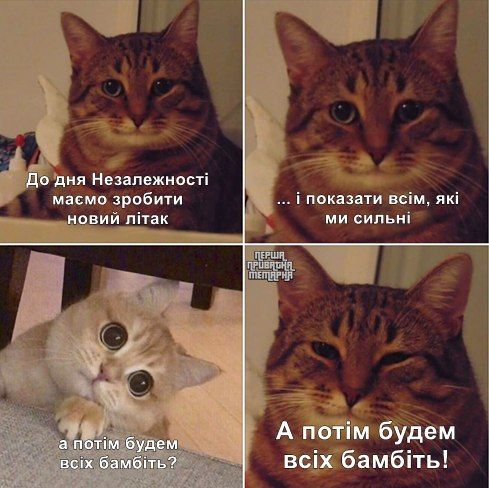 EeQak9YXgAIb_KN?format=png&name=small