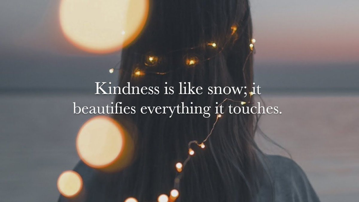 Sarah Brassard (@sarahwbrassard) on Twitter photo 