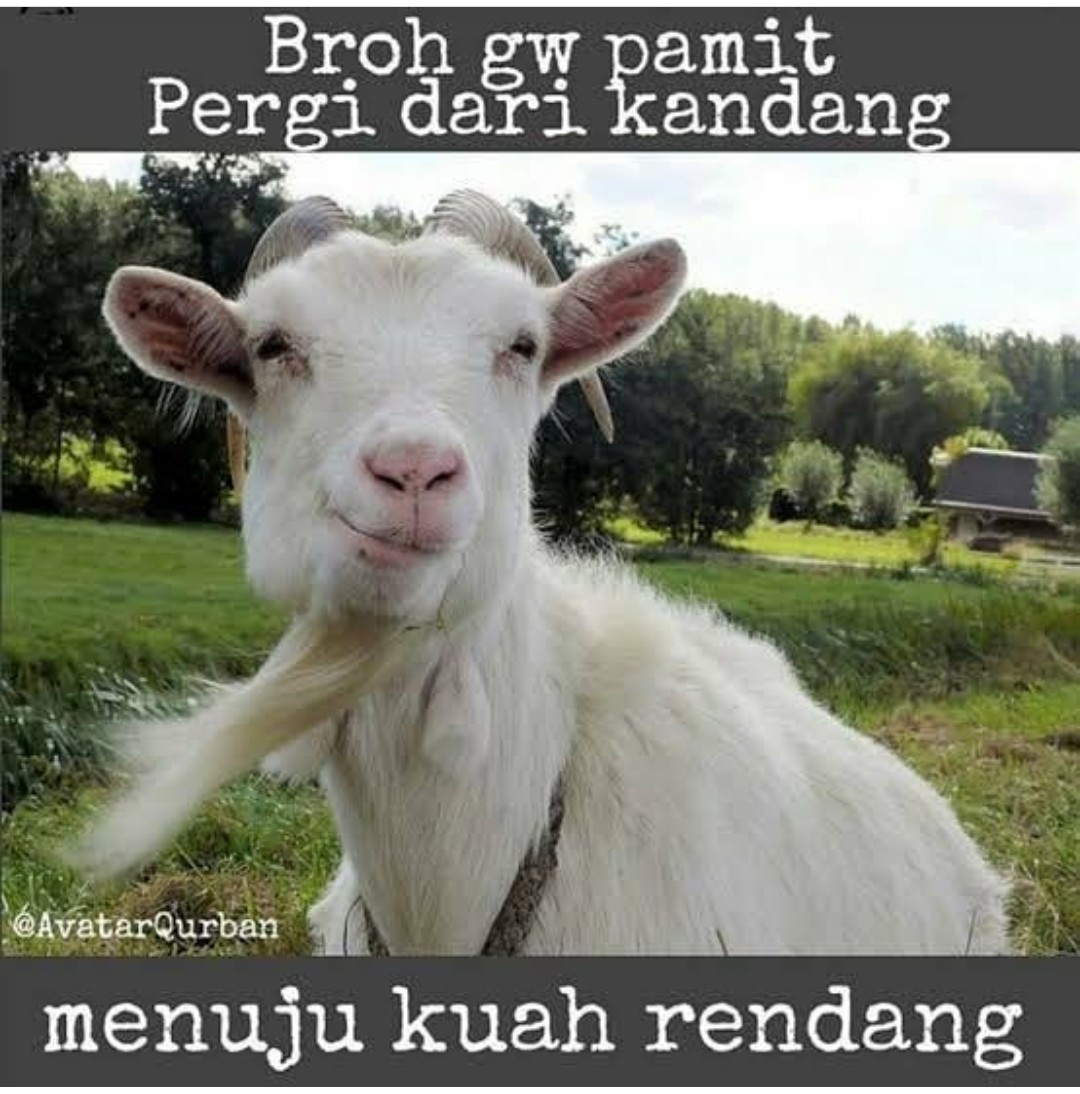 #EidAlAdha