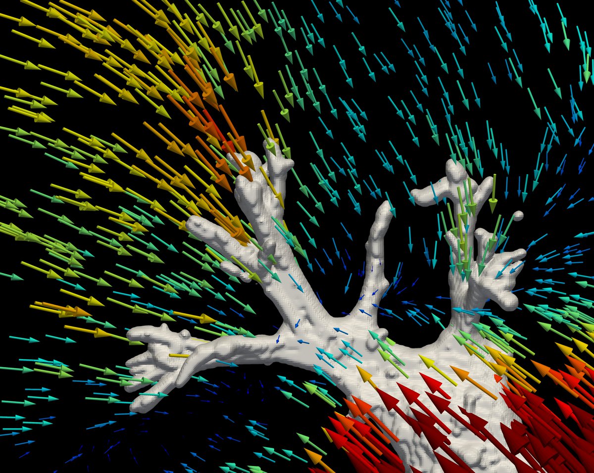 MAtrix_KULeuven's tweet photo. Our beautiful sister Stella is famous 🥰!! She appears in the cover of #Angiogenesis' latest issue (https://t.co/c5HfFQrQy0), in the #BSCDB official conference poster https://t.co/alyEMKkTnE, and now in this article in @Chem2W !! https://t.co/Agpjh6Wrlb https://t.co/hQcU6FNNjN