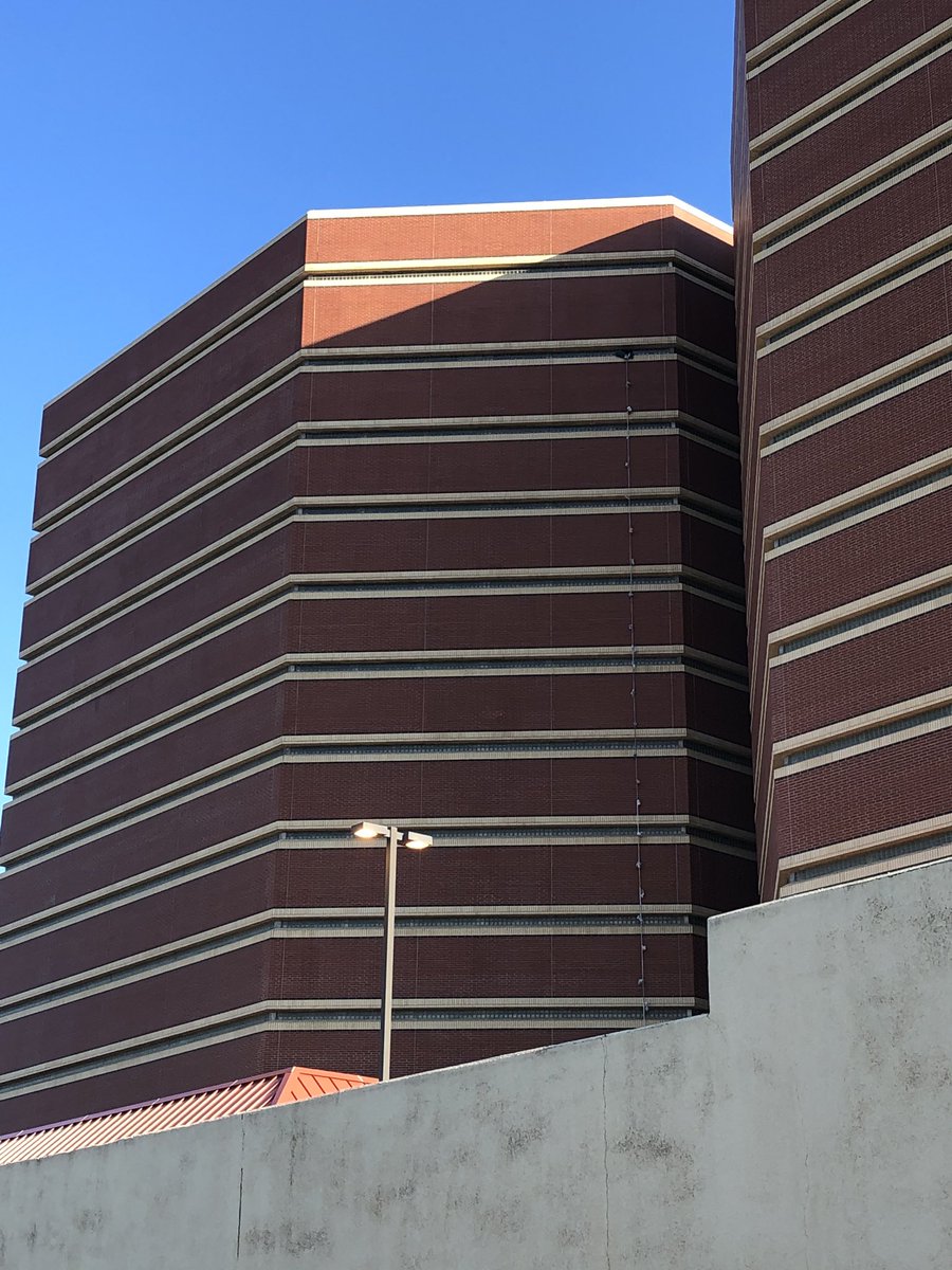 Christine Stanwood tweet media