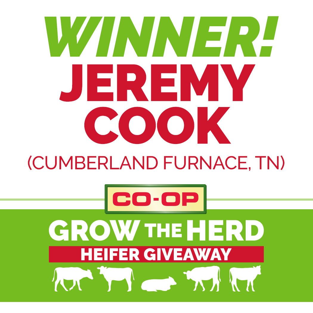 TNFarmers's tweet photo. We are proud to announce Mr. Jeremy Cook of Houston County as the winner of the FIVE FREE HEIFERS!

Special thanks to all our sponsors and ALL of those who took time to enter!

@TNBeefCouncil @TNAgriculture @UTIAg 

#CoopForUsAll https://t.co/2YwfP3RsWq