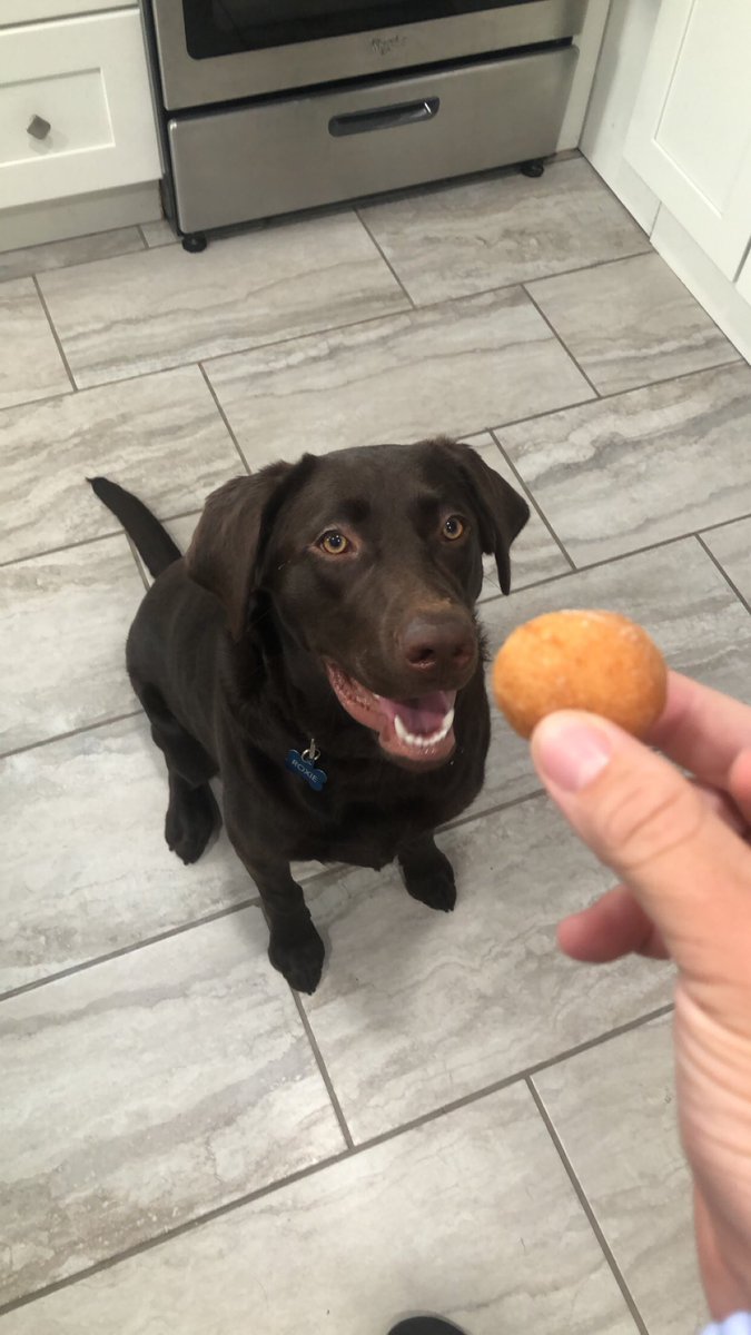 CoachLett10's tweet photo. Thought I would join @coachbom on this trend! 

FRIDAY IS DONUT DAY‼️‼️ 🍩 🍩 https://t.co/BImcG4REU4