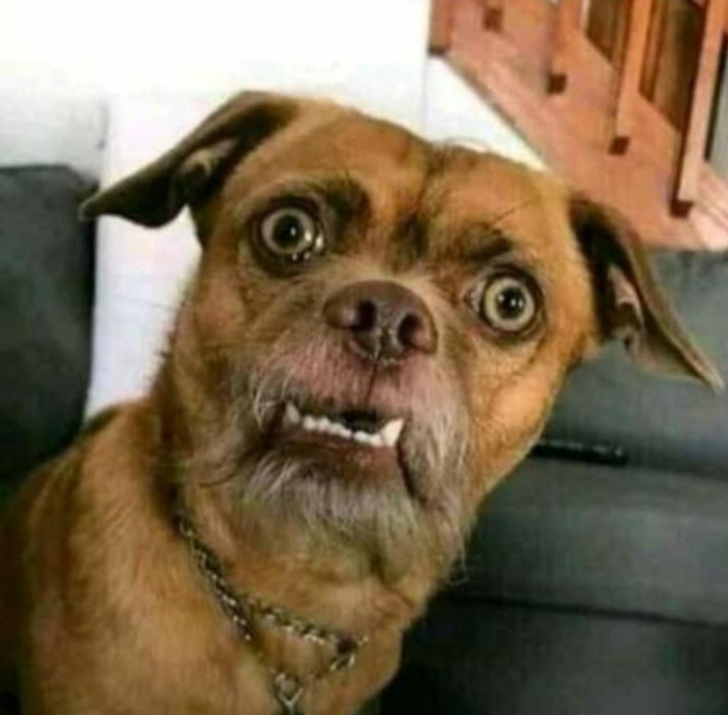 Been quiet for years now #VoetsekANC