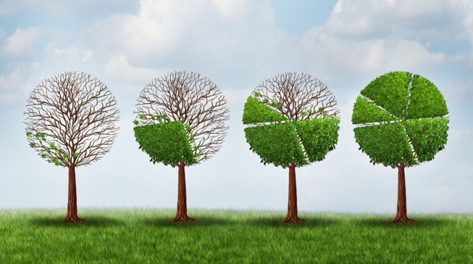 Choose growth! It certainly beats the alternative. :)  6 Truths about Growth.  bit.ly/338bEkG