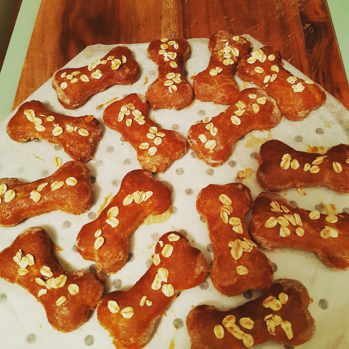 sumtales's tweet photo. @OpenAcademics Yaayyy! Furbulous #FollowFriday 👏
I study school leadership and my little furphew here visits to study the quality of my baking!! #spoiltpup #badaunt https://t.co/JreJs0kGmr