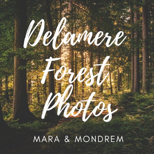 Explore Delamere Forest Photos - instagram.com/delamereforest… New photos added daily. Online shop coming soon.. #delamereforest #cheshire