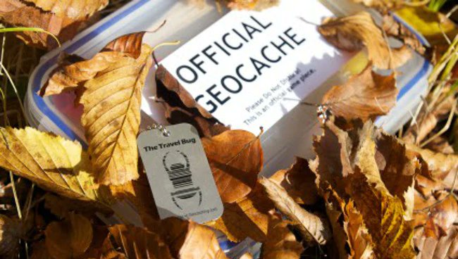 Zena Conkey tweet media