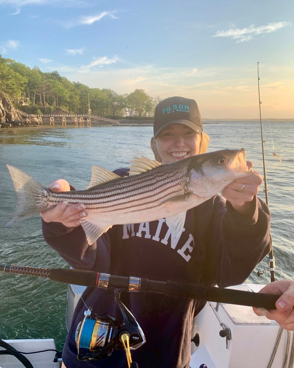 joshuabroder's tweet photo. Congrats to Kaitlin Rutherford for winning the Spring/Summer #tilsontech photo contest! She caught her first striped bass of the season, "Jimmy," who was returned to Casco Bay to grow bigger and stronger. Where do you wear your Tilson swag?
📸Kaitlin Rutherford https://t.co/Z2BkHiZPAJ