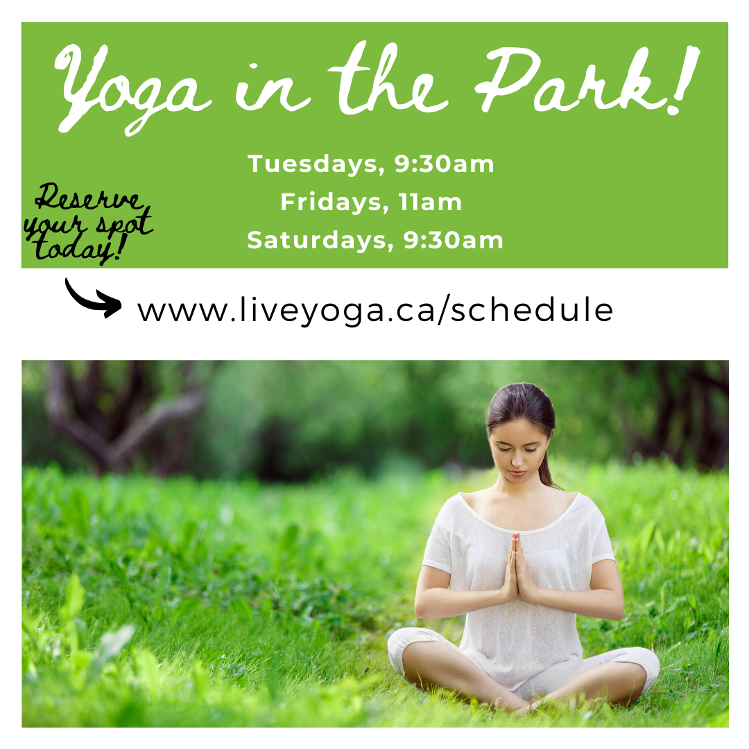 LiveYogaStudio's tweet photo. Have you seen our latest news? https://t.co/E1beKGtm3I https://t.co/0BN7qOFXFq