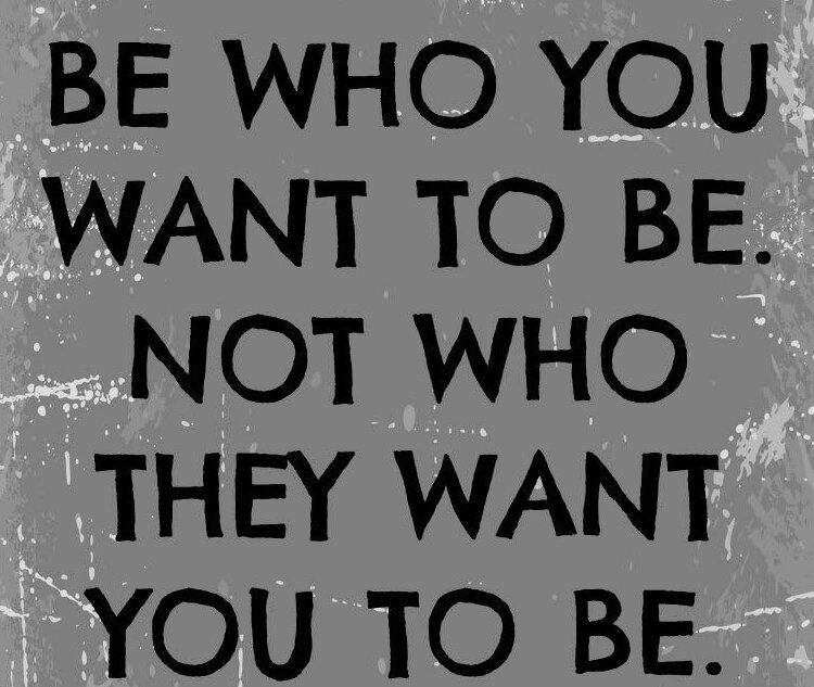 Sean Newberg (@newberg_sean) on Twitter photo 