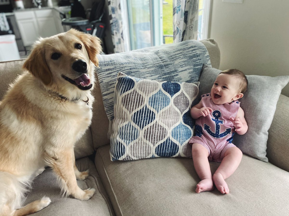 taypsteph's tweet photo. My sweet boy turned 8 months on Wednesday 🥺💙 #cooperjames https://t.co/vU3ueD3VFm