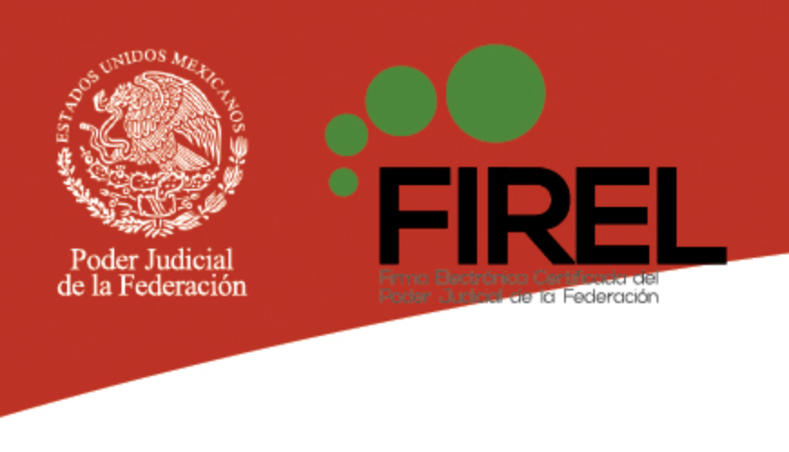 OAJ_Mex's tweet photo. Todo el proceso para obtener tu #FiREL de manera 100% digital, lo puedes consultar en el siguiente manual 📖 https://t.co/ZlCO8x2WUS https://t.co/julmhe5TKY