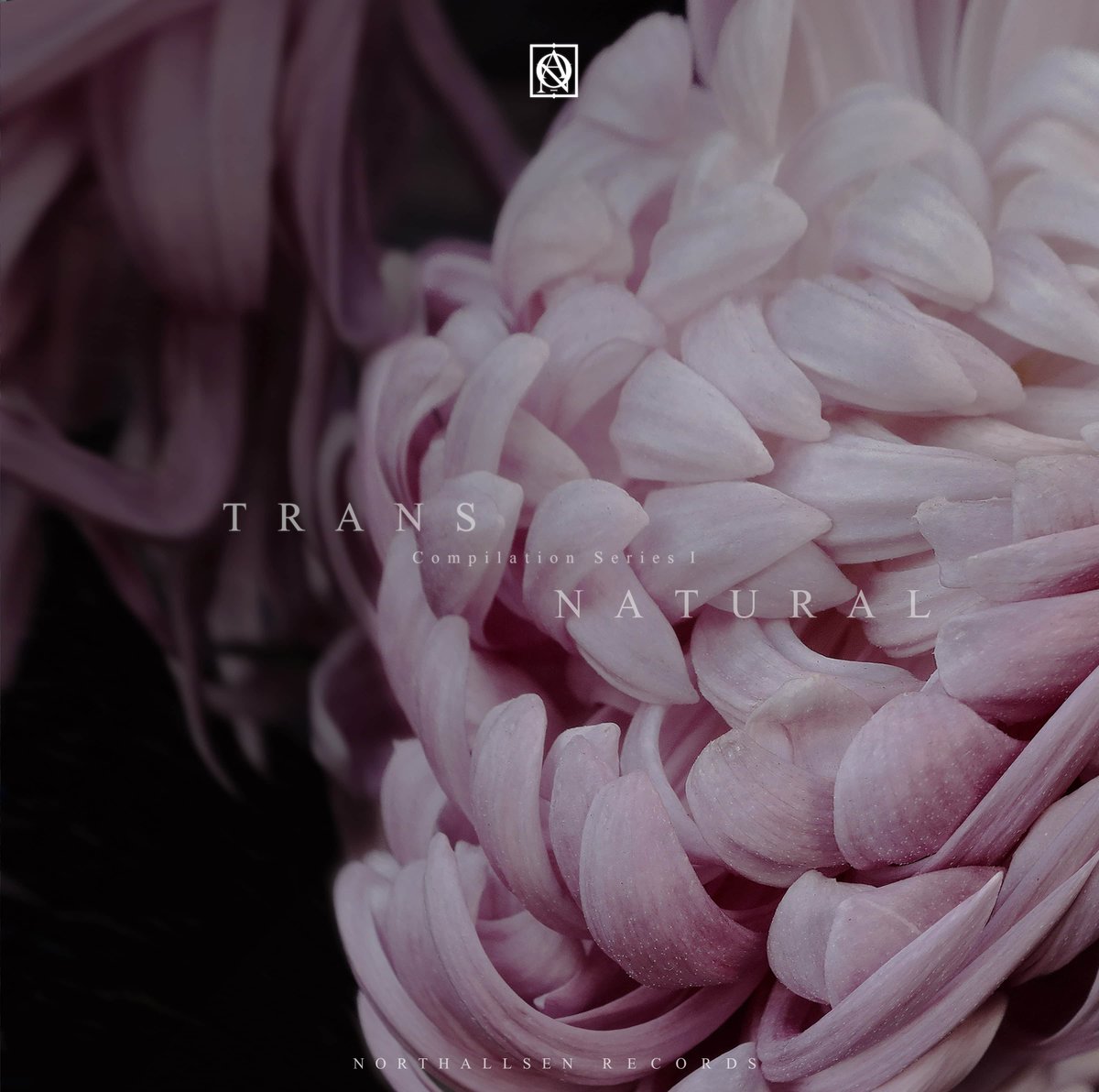 Northallsen is pleased to present today a special release compilation with some remarkable tracks from across the label’s Series "Transnatural".
Enjoy it!
-
NTSTS001
℗ &amp; © Northallsen Records 2020
northallsenrecords.com

Bandcamp Exclusive Order: bit.ly/2Xbkuu2